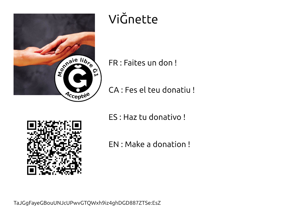 Vignette example: Make a donation to vignette !